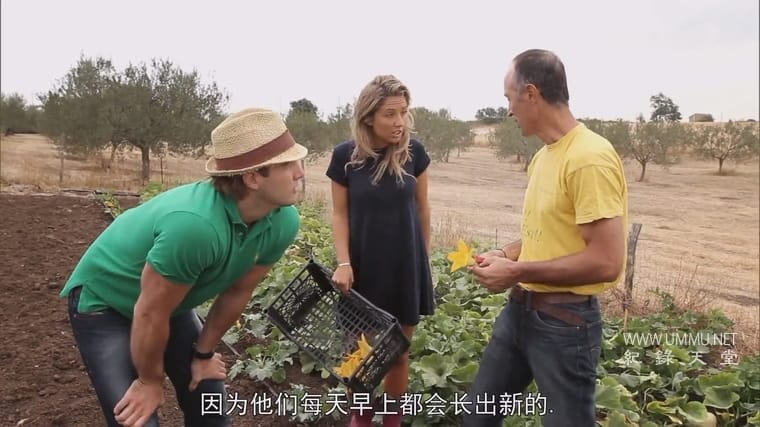 意大利美味邂逅 When Patrick Met Kylie: A Love of Food Story