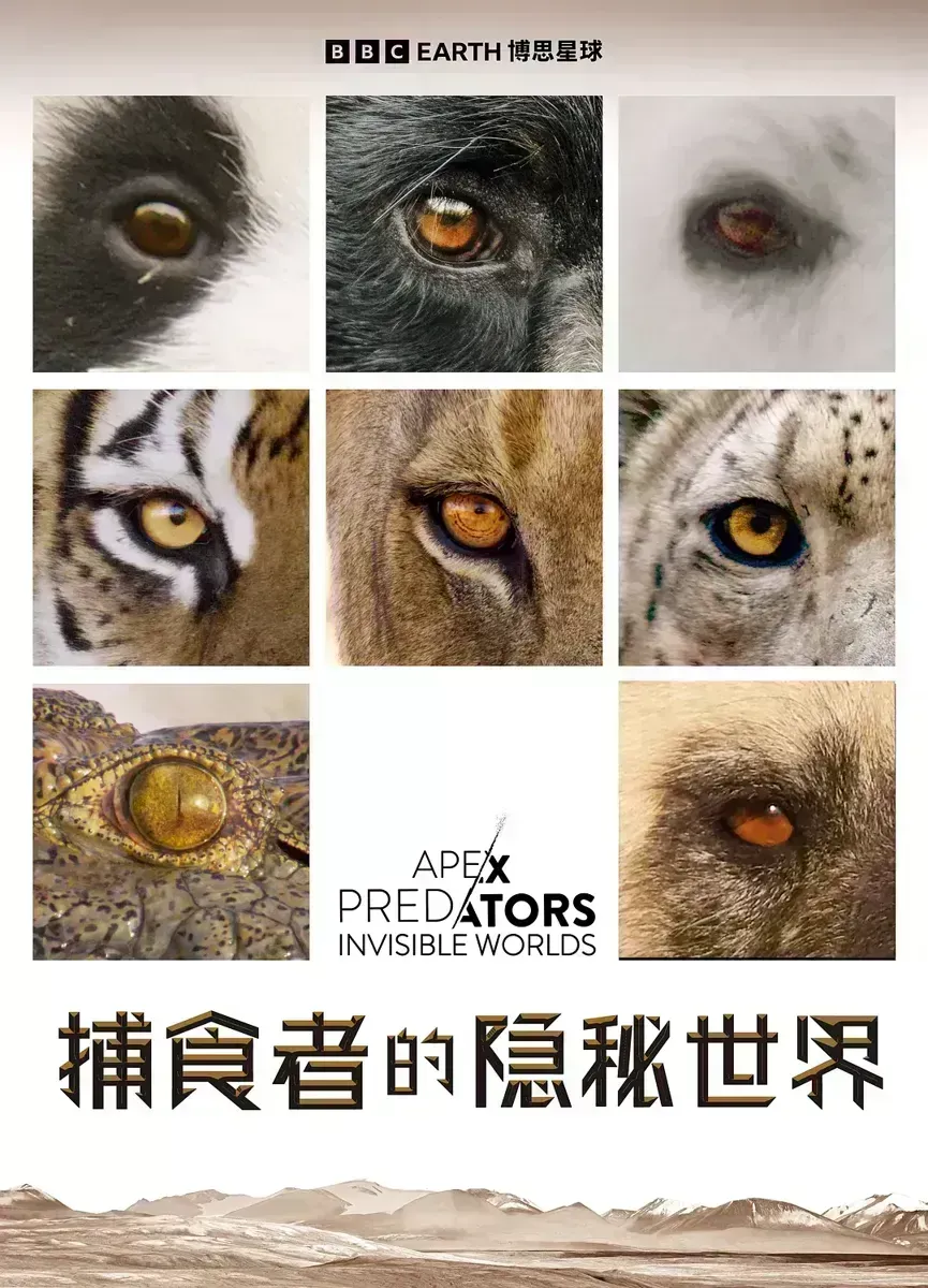 捕食者的隐秘世界 Apex Predators: Invisible Worlds