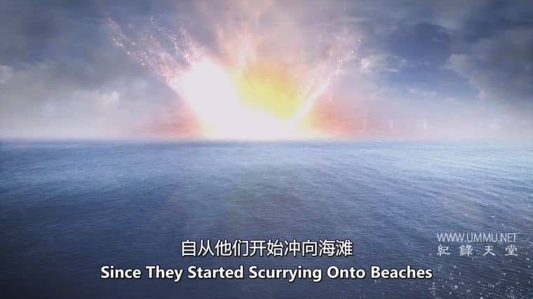 远古海洋 Ancient Oceans