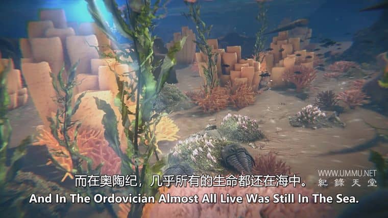 远古海洋 Ancient Oceans