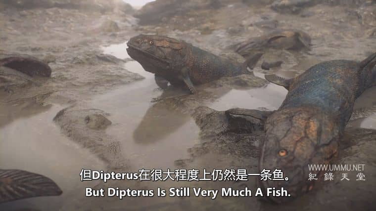 远古海洋 Ancient Oceans