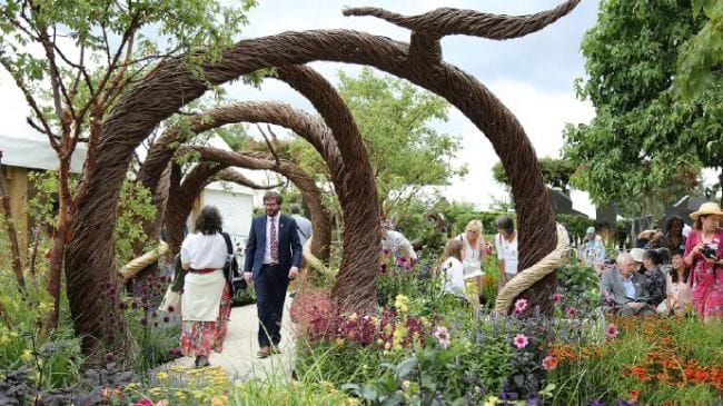 汉普敦宫花展 Hampton Court Palace Flower Show