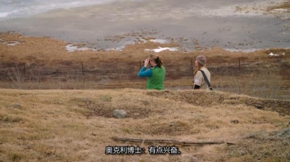 动物侠医/育空兽医 第4季  Dr. Oakley, Yukon Vet