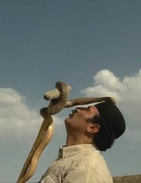 伊朗蛇王 The Snake Sultan