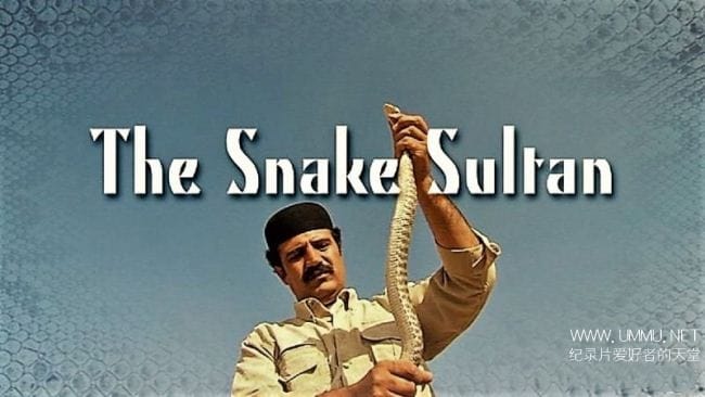 伊朗蛇王 The Snake Sultan