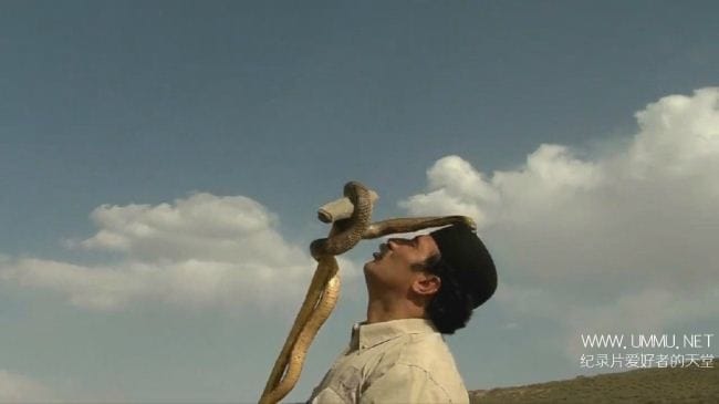 伊朗蛇王 The Snake Sultan