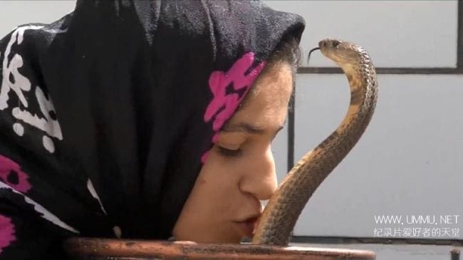 伊朗蛇王 The Snake Sultan