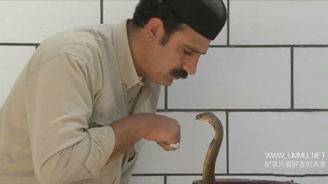 伊朗蛇王 The Snake Sultan