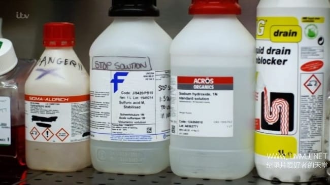 英国泼酸袭击 Acid Attacks How Scared Should We Be