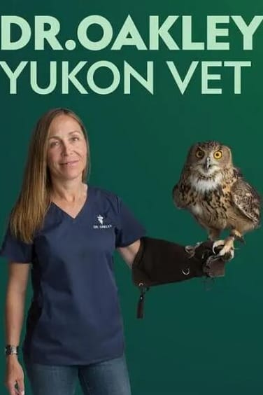 动物侠医/育空兽医  第7季  Dr. Oakley, Yukon Vet