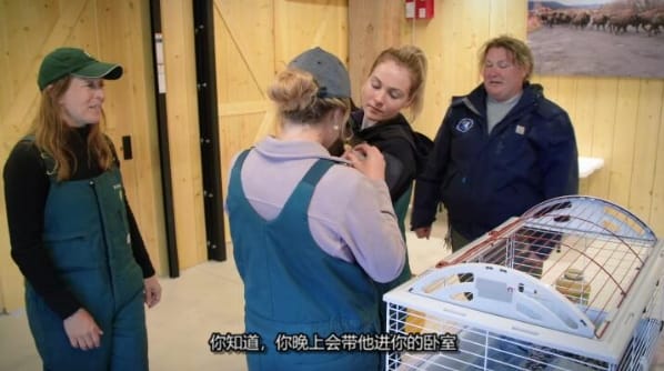 动物侠医/育空兽医  第7季  Dr. Oakley, Yukon Vet