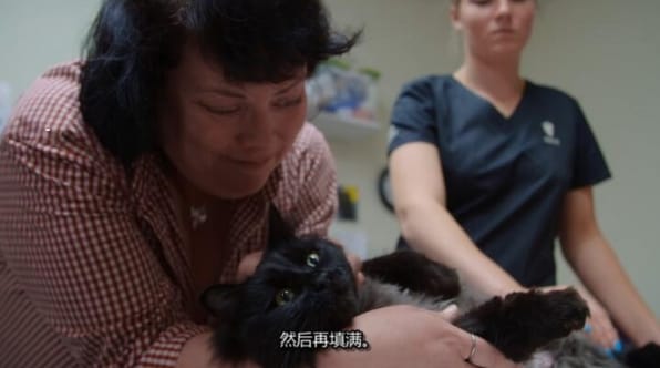 动物侠医/育空兽医  第7季  Dr. Oakley, Yukon Vet