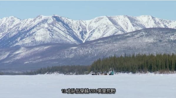 动物侠医/育空兽医 第2季  Dr. Oakley, Yukon Vet