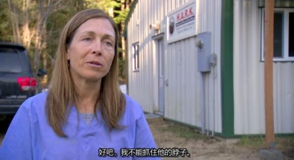 动物侠医/育空兽医 第2季  Dr. Oakley, Yukon Vet