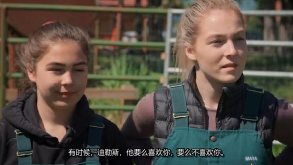 动物侠医/育空兽医 第8季  Dr. Oakley, Yukon Vet