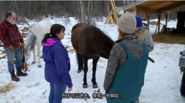 动物侠医/育空兽医  第6季  Dr. Oakley, Yukon Vet