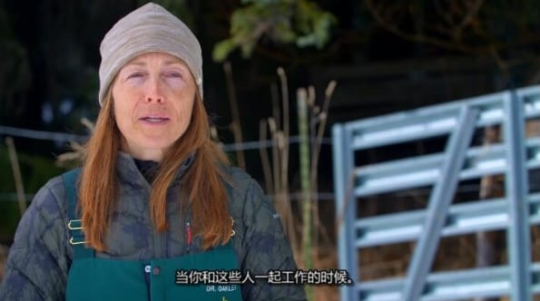 动物侠医/育空兽医  第6季  Dr. Oakley, Yukon Vet