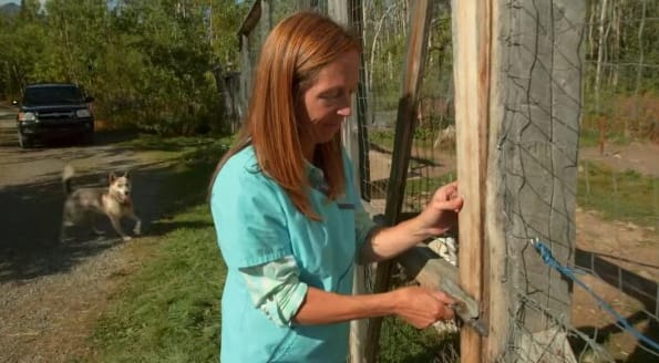 动物侠医/育空兽医  第1季  Dr. Oakley, Yukon Vet