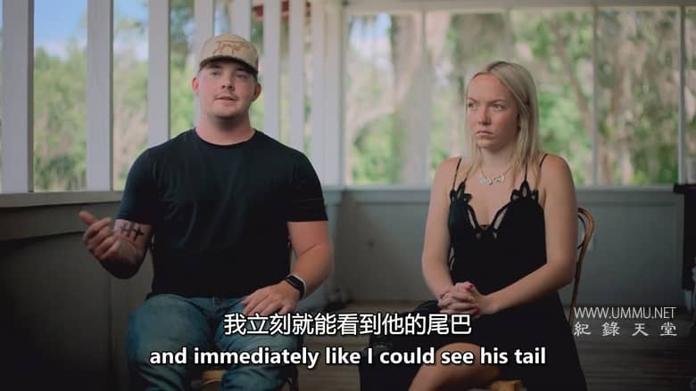 红海鲨鱼袭击 Attack of the Red Sea Sharks