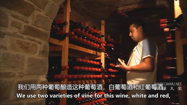 发现世界 Discovering the World