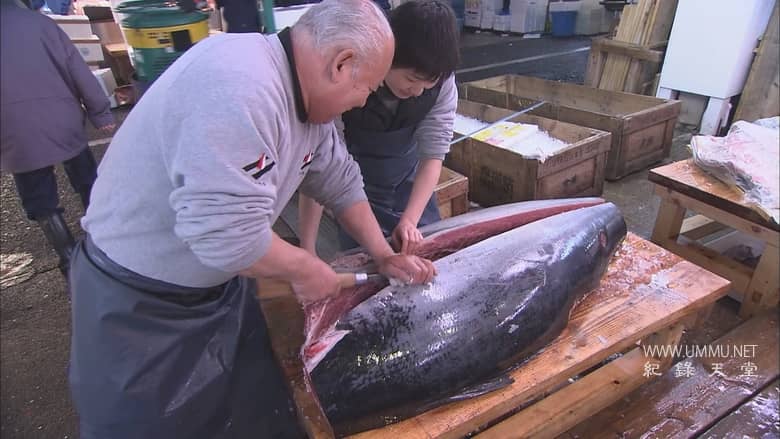 发现世界 Discovering the World