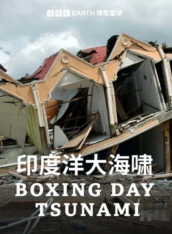 节礼日海啸 Boxing Day Tsunami