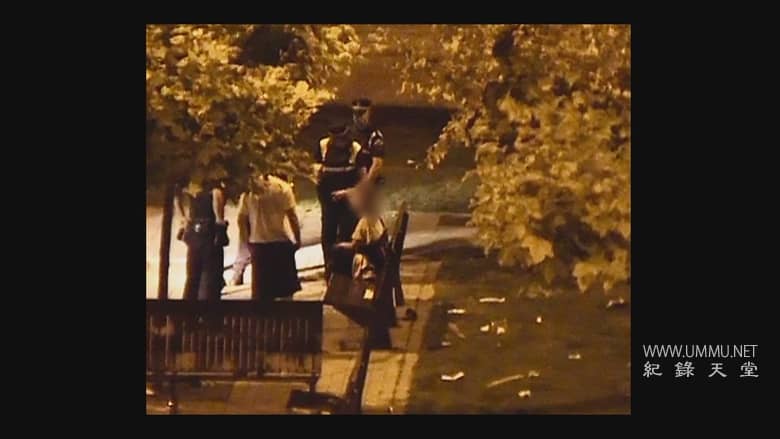 你不孤单：对抗“狼群”的斗争 You Are Not Alone: Fighting the Wolf Pack