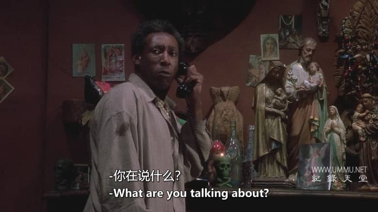 鬼娃纪实 Doc of Chucky