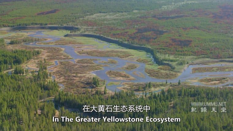 古黄石公园 Ancient Yellowstone