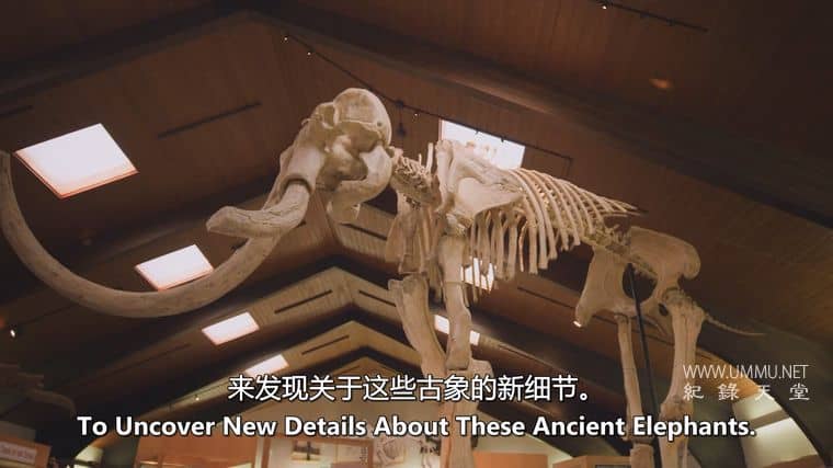 古黄石公园 Ancient Yellowstone