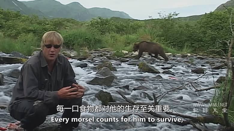 灰熊人日记系列 Diary Of The Grizzly Man: Series
