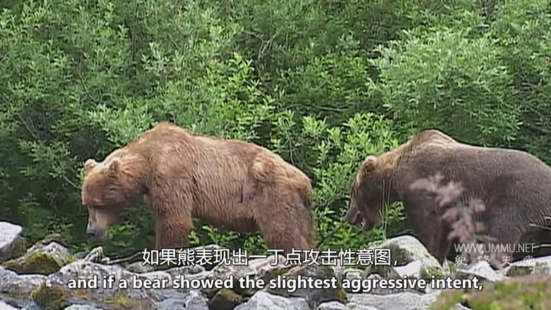灰熊人日记系列 Diary Of The Grizzly Man: Series