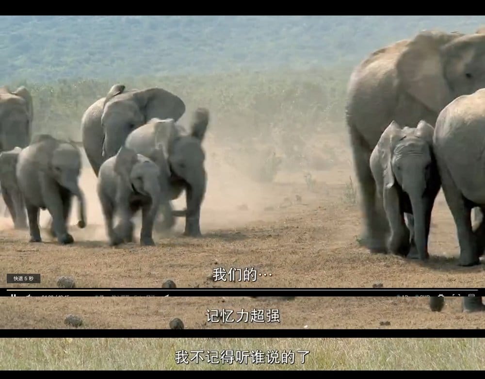 怪诞星球 Absurd Planet