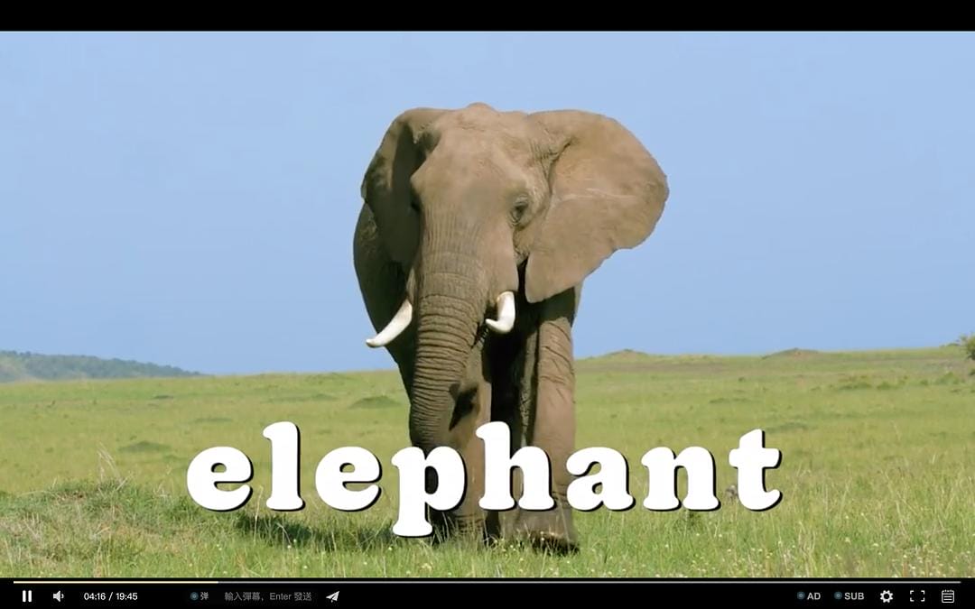 怪诞星球 Absurd Planet