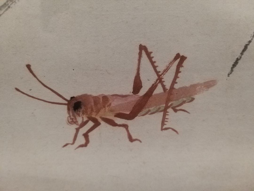 百年巨匠 美术篇第一部