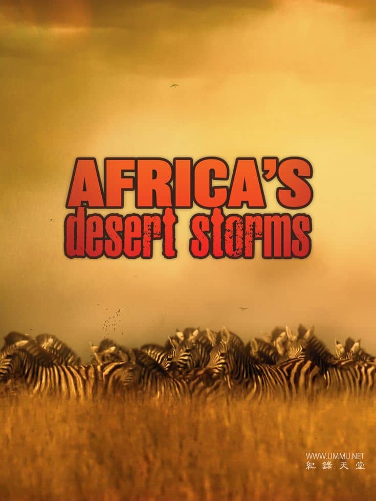 非洲沙漠风暴 Africa's Desert Storms
