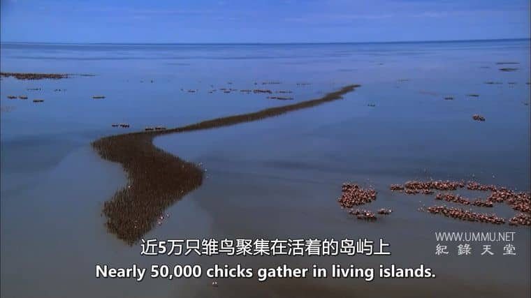 非洲沙漠风暴 Africa's Desert Storms