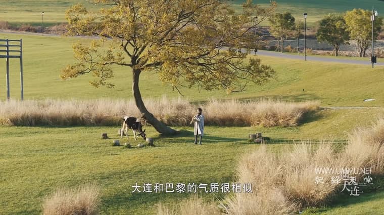 遇见大连 A Date with Dalian