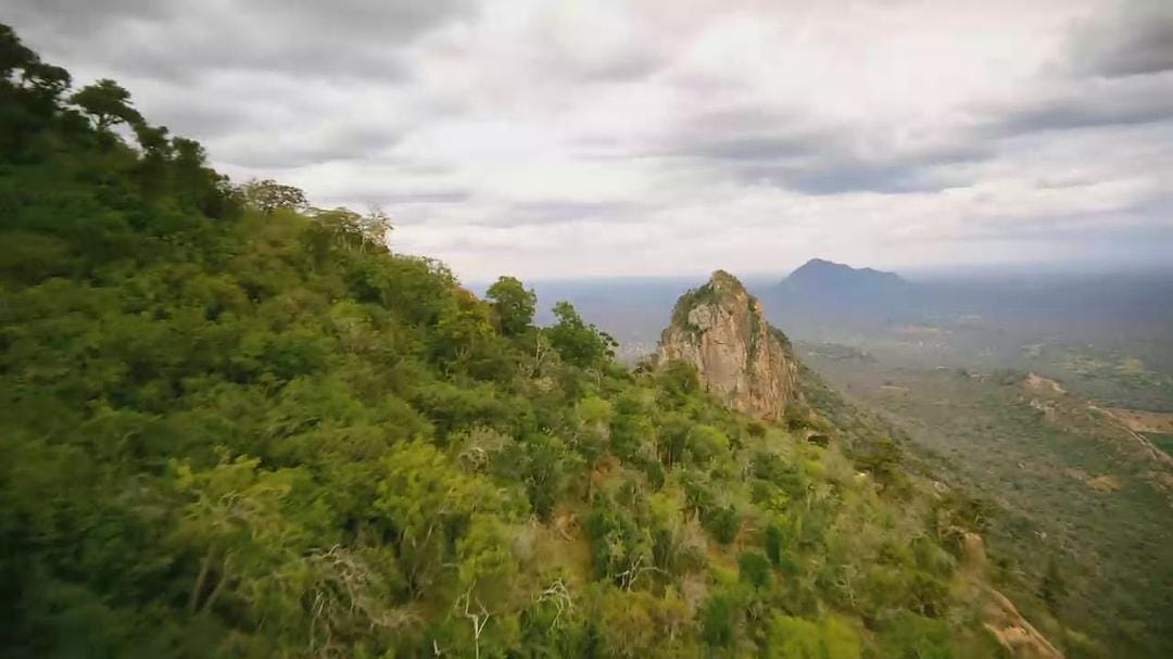 天生狂野 Born to Be Wild