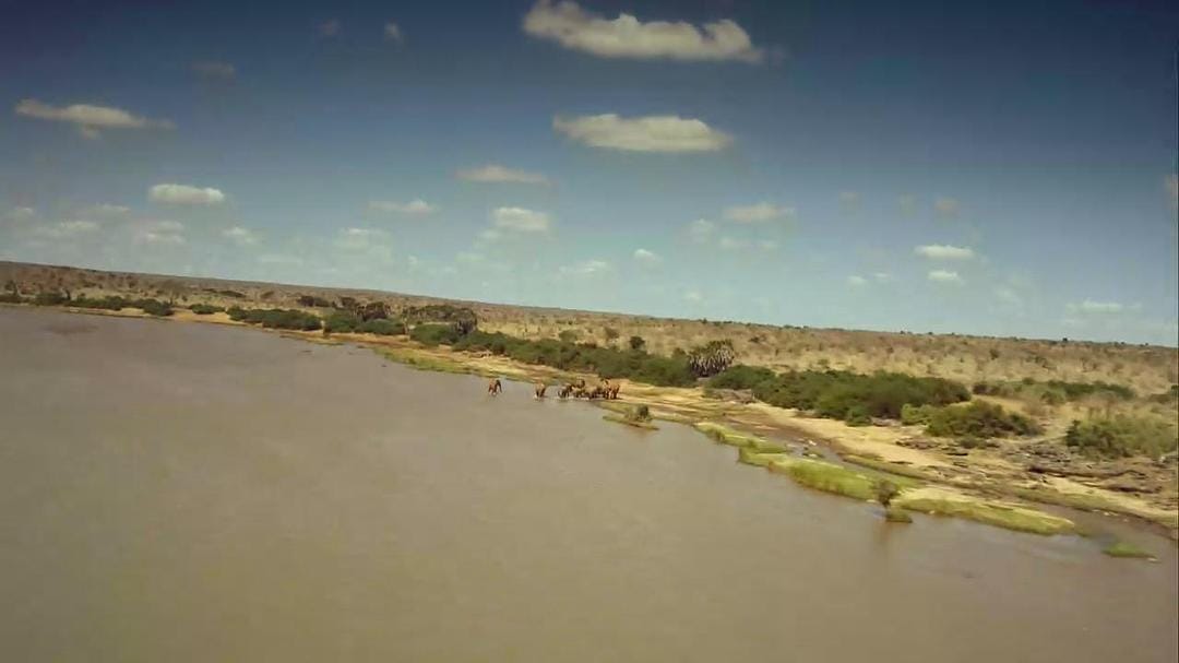 天生狂野 Born to Be Wild