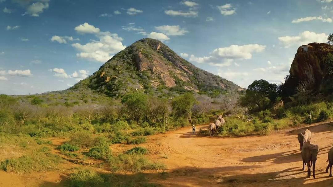 天生狂野 Born to Be Wild