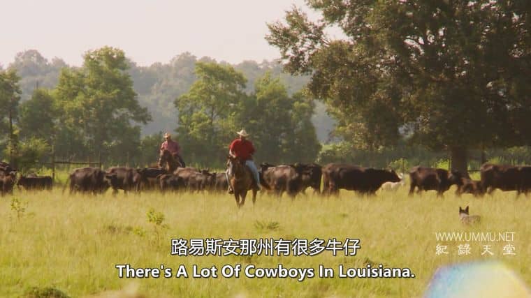 美国公路之旅 Backroads USA