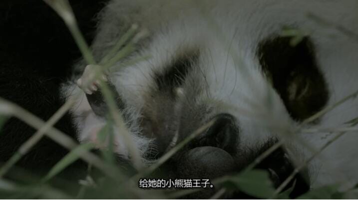 未至之境/中国的隐秘王国 The Hidden Kingdoms of China 第1季