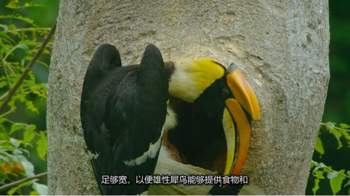 未至之境/中国的隐秘王国 The Hidden Kingdoms of China 第1季