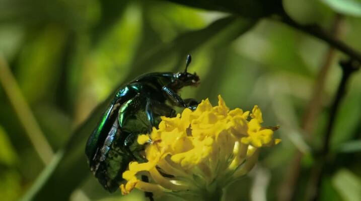 未至之境/中国的隐秘王国 The Hidden Kingdoms of China 第1季