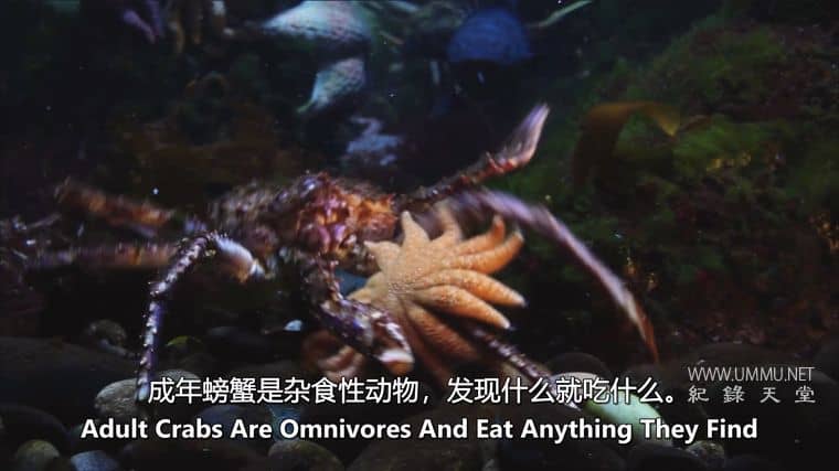 怪物入侵 Alien Takeover