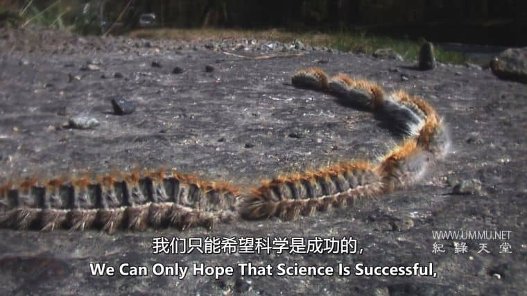 怪物入侵 Alien Takeover