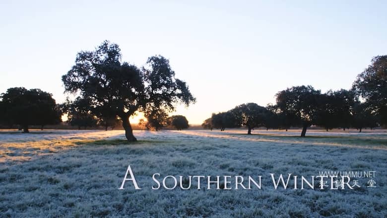 南方的冬天 A Southern Winter