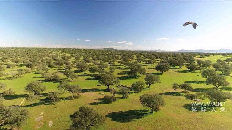 南方的冬天 A Southern Winter