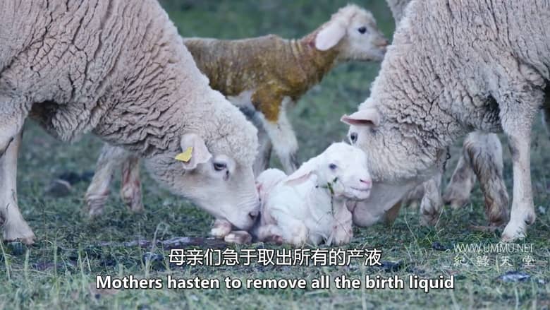 南方的冬天 A Southern Winter